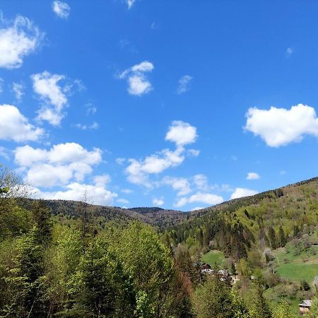 Villa Gold Jaremcse Kültér fotó